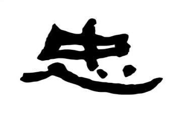 忠的感悟心得体会优质8篇