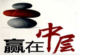 中层干部个人总结6篇