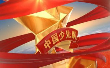 城管中队半年度工作总结5篇