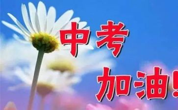 中考感悟作文5篇