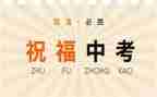 中考100的演讲稿推荐7篇