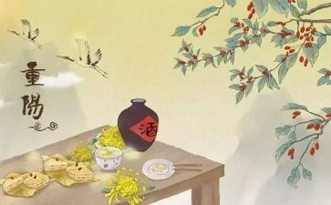 县重阳节活动总结8篇