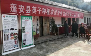 专合社个人先进事迹优质8篇