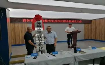 专合社个人先进事迹5篇