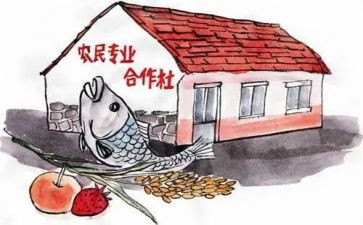 专合社个人先进事迹优秀7篇