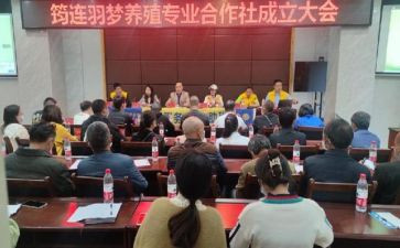 专合社个人先进事迹模板7篇