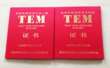专四心得体会800字5篇