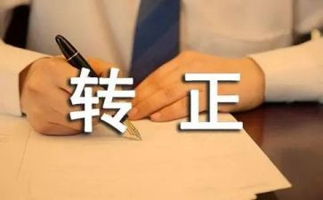 最新转正述职报告范文6篇