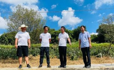 驻村干部2024年工作总结7篇