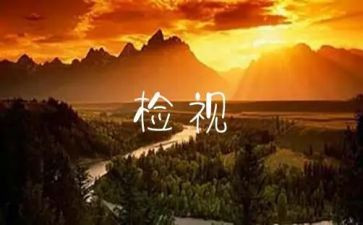 春节自检自查报告7篇