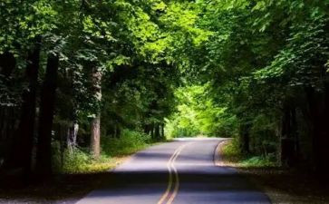 以案为鉴自检自查报告最新5篇