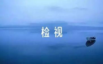 以案为鉴自检自查报告7篇