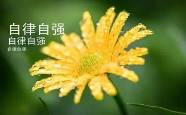 自强事迹材料通用6篇