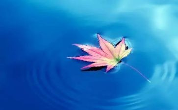 保护自然环境的倡议书7篇
