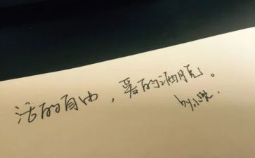 自由的风作文600参考5篇