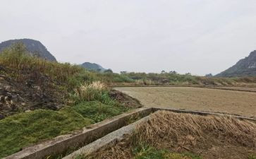 公司租赁合同模板8篇