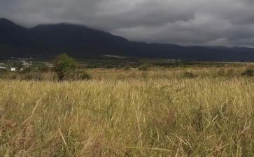 公司租赁房屋合同精选6篇
