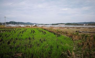 建筑工程机械租赁合同7篇