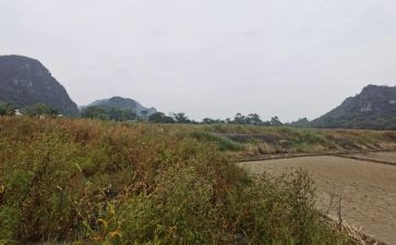 房屋租赁合同简易模板5篇
